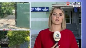 VIDEO Tragedie la Timișoara. Un băiețel de un an și opt luni s-a înecat într-un iaz artificial din curtea unei grădinițe